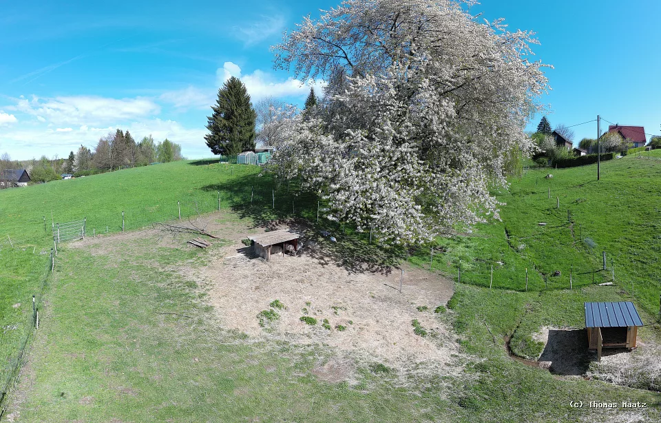 pano19