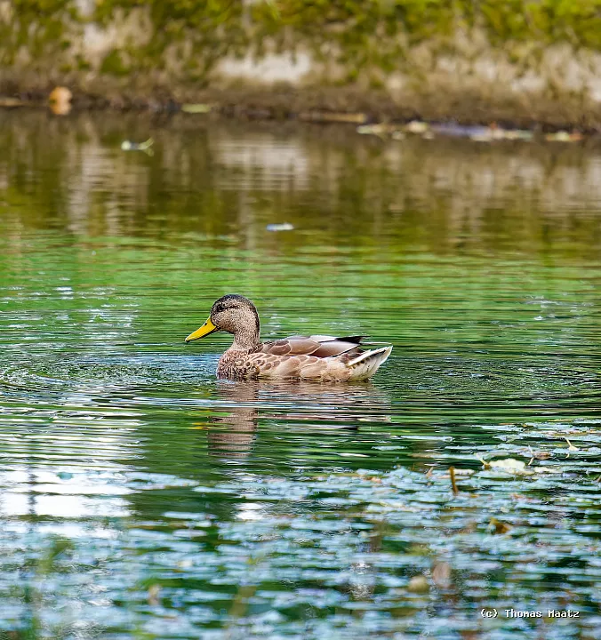 P1014465