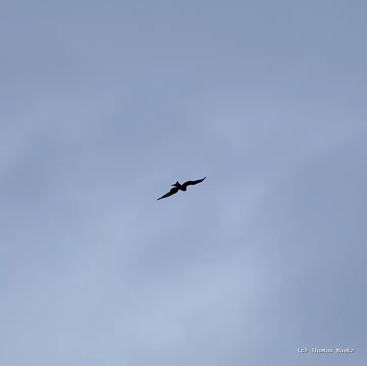 P1016916